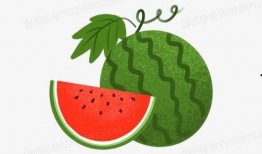 吃瓜高清壁纸下载免费,尽享视觉盛宴